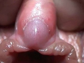 clitoris کے بہت قریبی اپ ہے