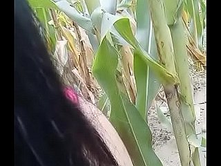 melancap di lapangan