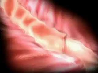المعاناة والسرور 3D هنتاي