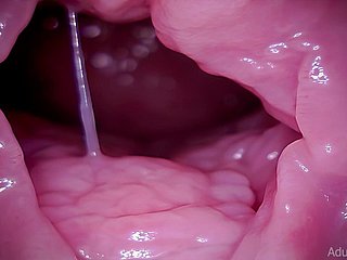 گریوا ، وور ، جائنٹیس ، ASMR