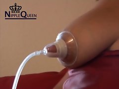 sentirsi acquiesce in una mucca