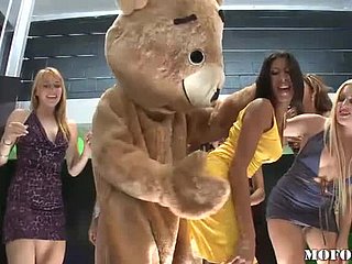 Niedźwiedź tańca pieprzy Latina Kayla Carrera w Hot Bobby-soxer Party