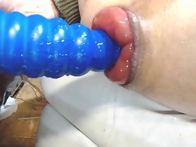 प्रविष्टि