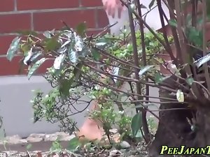 Asian Pamper pinkelt sich
