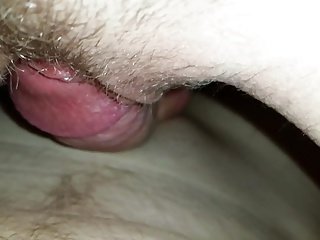 سست رفتار سرکنا قریبی اپ