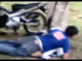 malay- متسرع التودونغ أو الحجاب الجنس bawah pokok