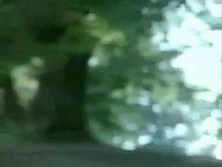 Italian Masterpiece (French Dub)