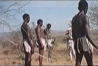 अफ्रीकी भारी penises! वास्तविक सफारी!