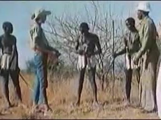 MAXI COCKS AFRIKANER