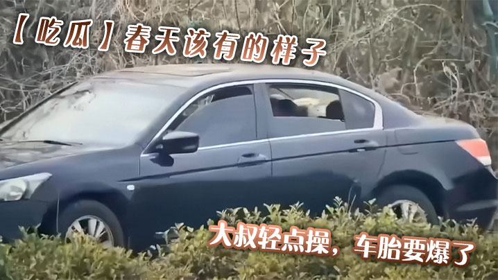 吃瓜春天该有的样子大叔轻点操车胎要爆了.