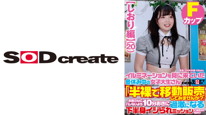 SDAM-7304 【しおり編】イルミネーションを見に来ていた冬休み中の女子大生さん 「半裸で移動販売してみませ